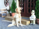 Eingangsbereich Eingangsbereich
